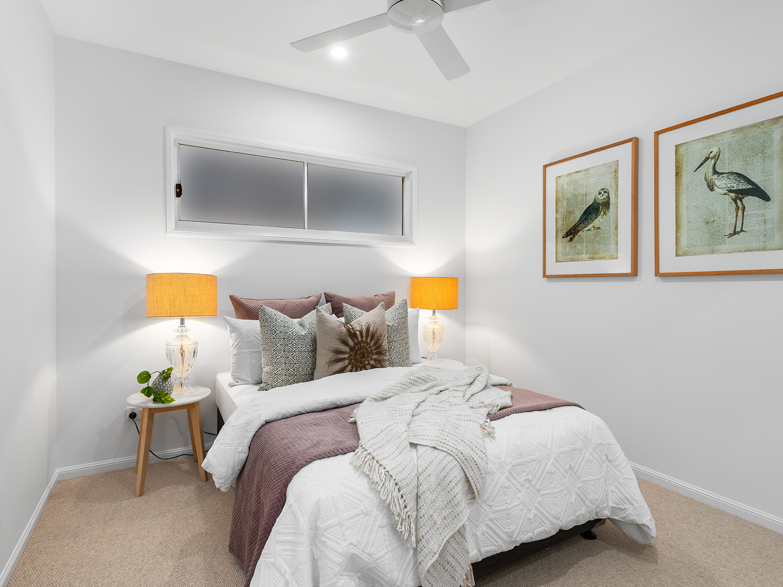Bulimba Development 1 photo 15